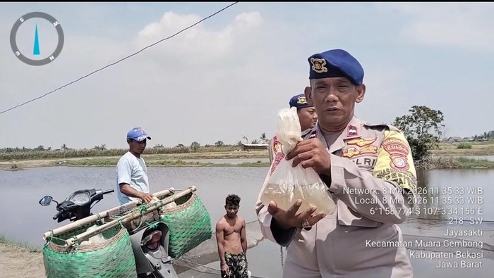 Polairud Polda Metro Tebar 10 Ribu Bibit Bandeng untuk Dukung Ketahanan Pangan
