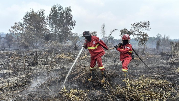Hotspot Karhutla Masih Terdeteksi di Enam Provinsi, BMKG Gencarkan Modifikasi Cuaca